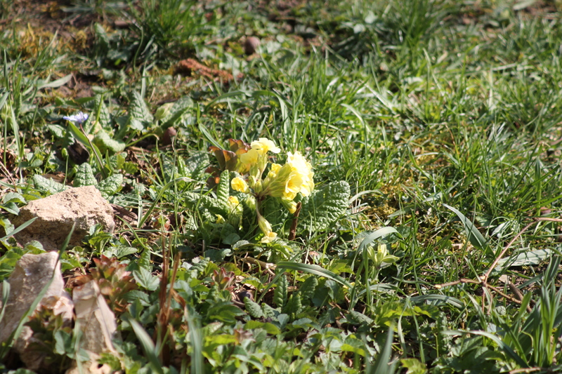 Autohaus Ramsperger: Reifenwechsel unf Frühjahrscheck